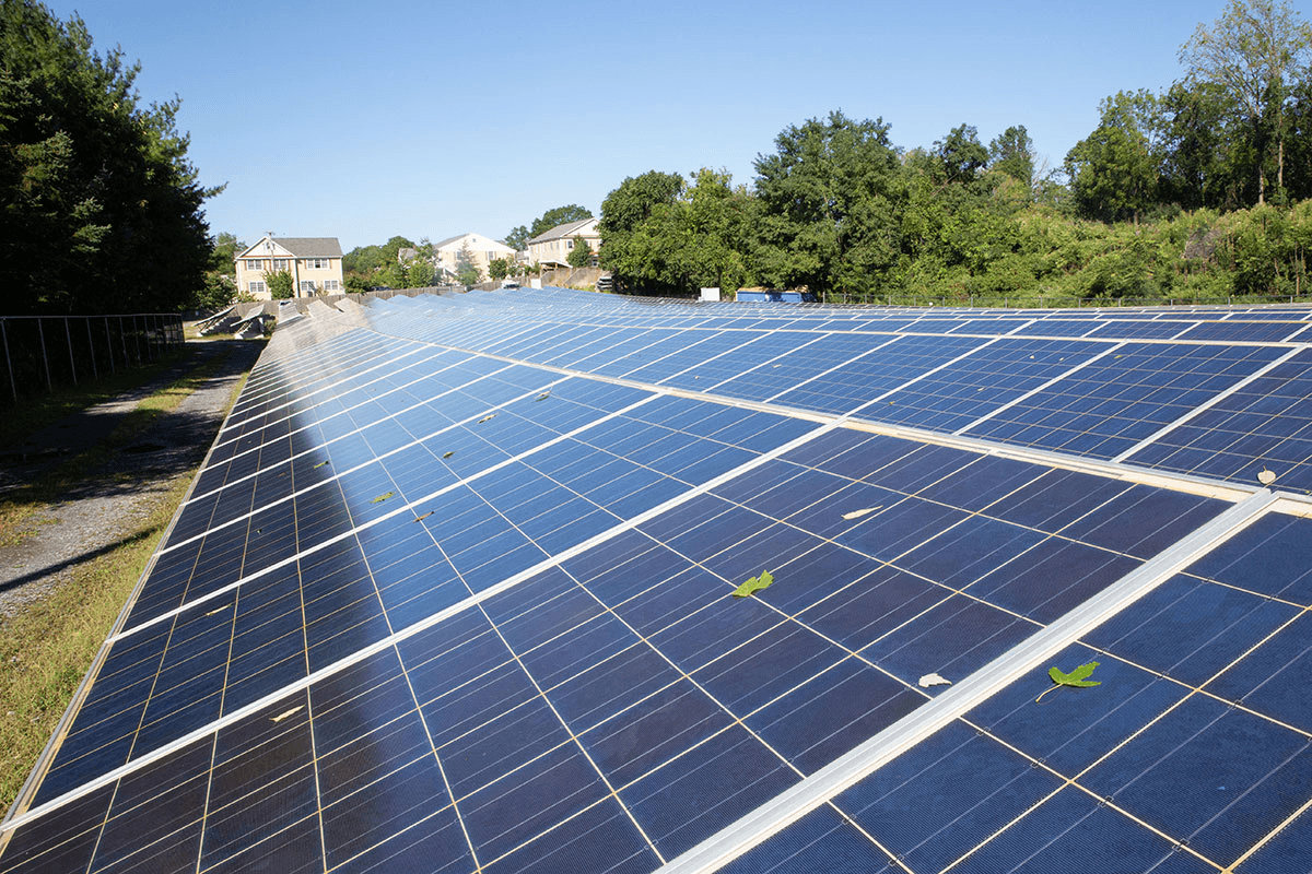 image - 2026-02-20T134022.447